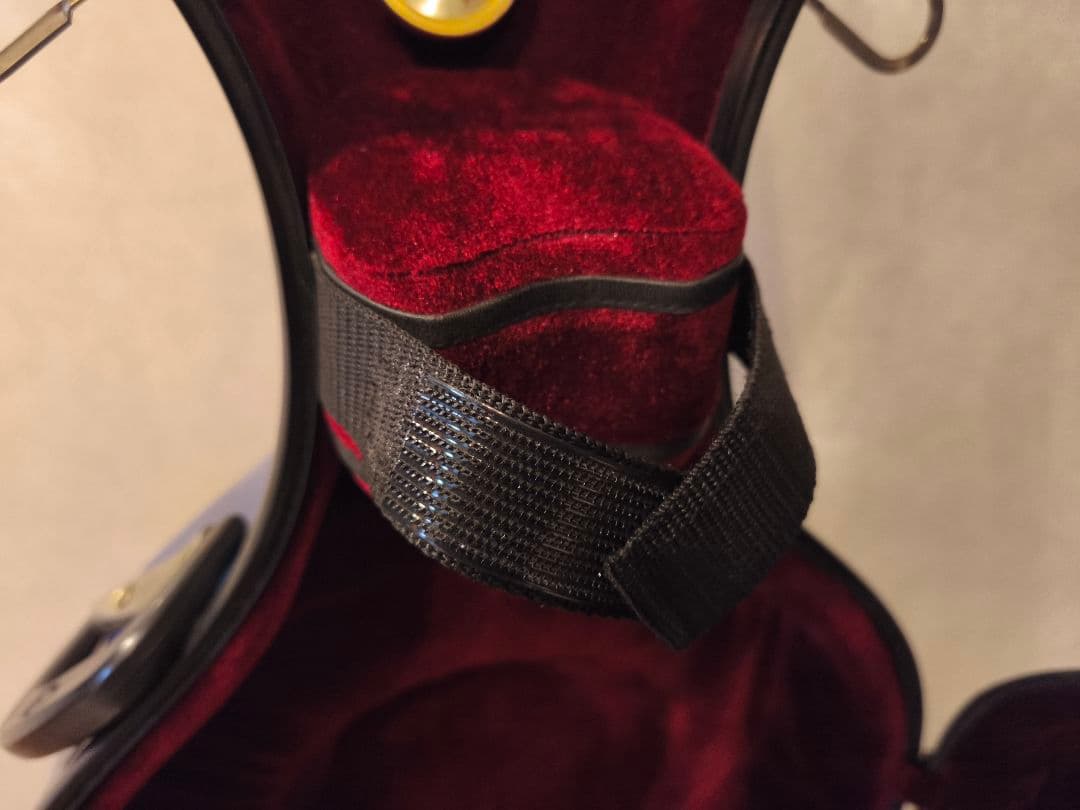 チェロ　ハードケース　Andreas Eastman　中古