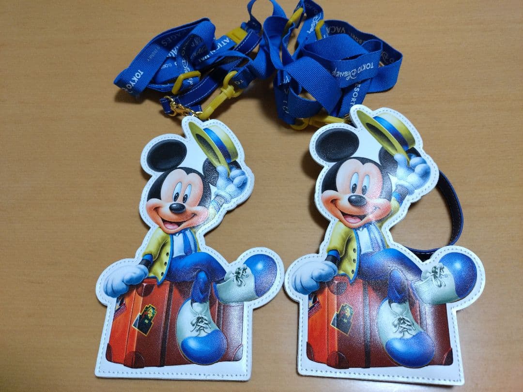 ディズニー バケーションパッケージ グッズ まとめ売り パケパ グッズ