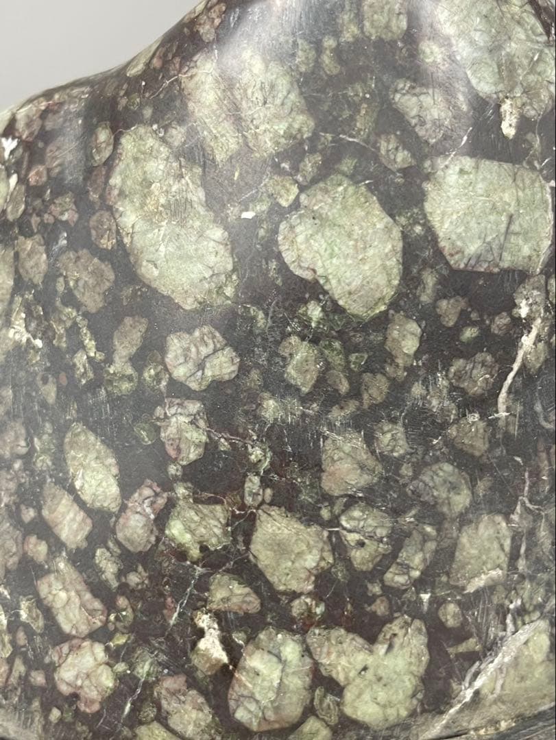 大型 梅花石 鑑賞石 盆石 水石 天然石 ジャスパー 木製台座付 菊花石