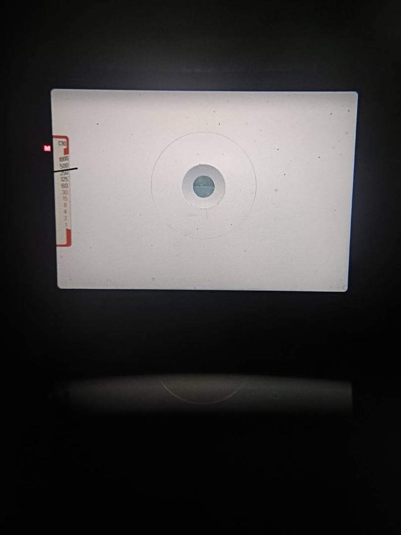 美品 ニコン FG-20 ブラック フィルムカメラ モルト新品交換済 M554