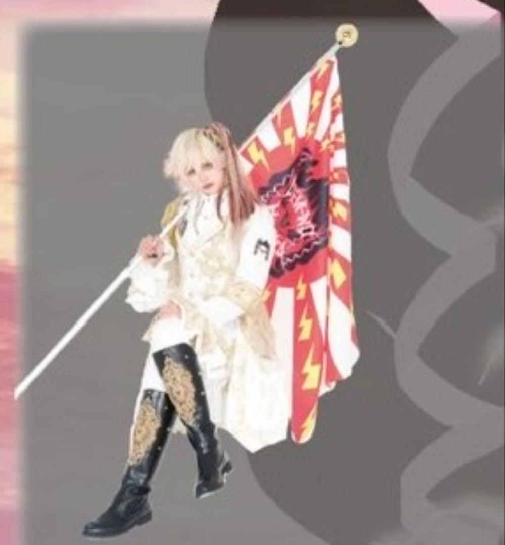 電脳ヒメカ 楽 アクスタ ネガイボシ いやしのねがい - メルカリ