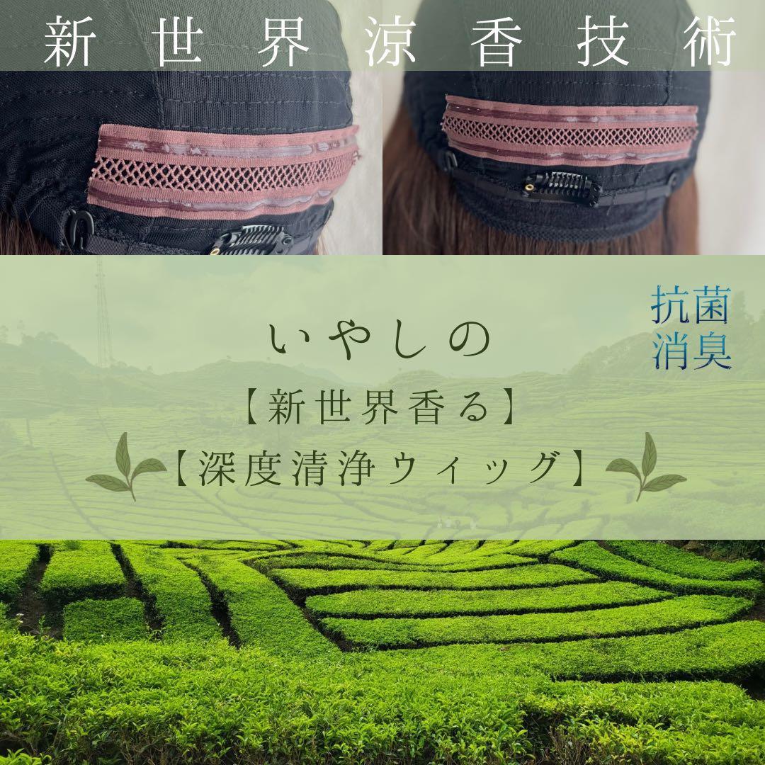 2025新世界　人毛　フルウィッグ　ウィッグ　シルクスキン　医療ウィッグ　レミー