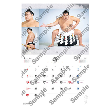 相撲 2026年 壁掛けカレンダー 10部セット 10部セット】大相撲 壁掛け