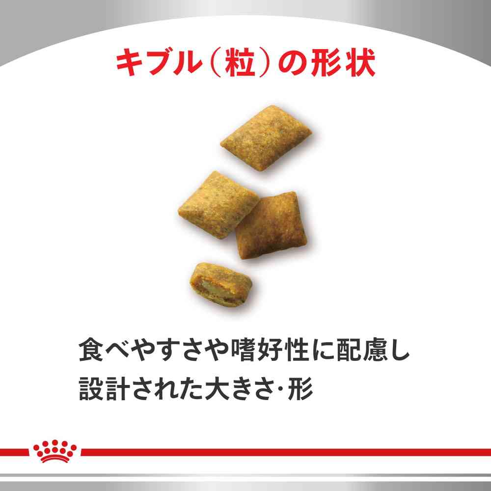 猫用 腎臓サポート セレクション 500gx1